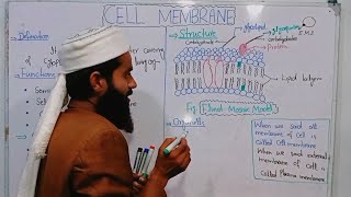 Cell Membranestructure function of plasma membrane 9th biology  Chap4 Lec6  fluid mosaic model [upl. by Pedaias587]