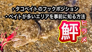 【ショアラバ】ベイトの動きを知り堤防からヒラメを釣る 【石川県 釣り】 [upl. by Aneelahs]