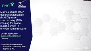 MALDI Mass Spectrometry Imaging for Spatial Metabolomics  Integrated Chemical Imaging Workshop [upl. by Viviana403]