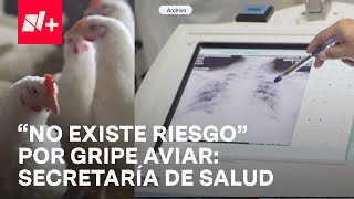 ¿Qué síntomas presentó el hombre que murió por gripe aviar H5N2  En Punto [upl. by Bate]