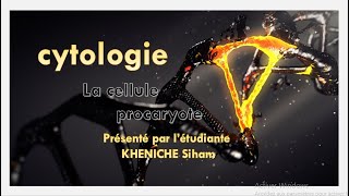 cytologie  chapitre 1 partie 3 la cellule procaryote [upl. by Laurice]