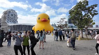 Exploring Downtown Kaohsiung Taiwan  Glory Pier Light Rail Ride 85 Sky Tower Central Park [upl. by Odlonra]