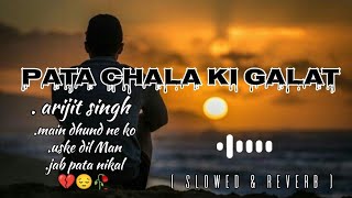 pata chala ki galat leke me pata nikla🥀😞 sad lofi  slowed amp reverb  in hindi song arijitsingh [upl. by Damiano106]