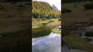 Spettacolare riflesso del bosco sul laghetto 🍂 [upl. by Ylrak974]