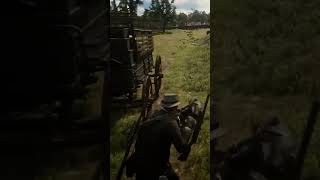 Killing a lot of Lemoyne Raiders RDR2 [upl. by Ettenig302]