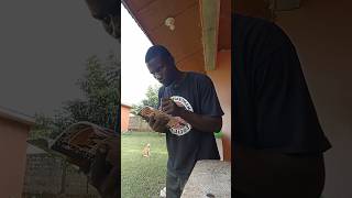 ROMANUS goes to school goviral trendingvideos viralnews [upl. by Dnomed666]