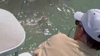 11lb Bonefish on Fly [upl. by Nehtanhoj952]