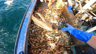 A day on a Trawler🎣🎣🇮🇲🇮🇲 [upl. by Esemaj123]