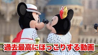 最高にほっこりする動画作ってみました  東京ディズニーランド [upl. by Adelle340]