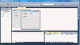 Part 5  Introduction to Windows forms Check Box and Radio Button [upl. by Rehc457]