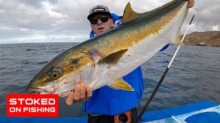 Stoked to Be Back in Cedros Island Yellowtail Fishing [upl. by Okiron]