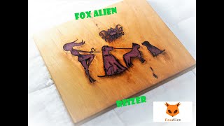 Fox Alien Reizer Laser Engraver [upl. by Nivrad]