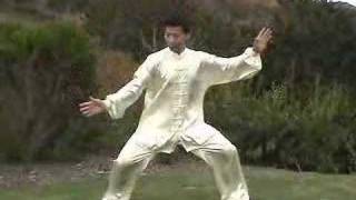 Wu Tai Chi Taiji [upl. by Ohcamac]