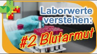 Laborwerte verstehen 2 Blutarmut differenzieren [upl. by Sapphira]