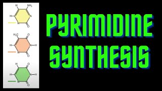 USMLE Step 1  lesson 3  Pyrimidine base synthesis [upl. by Geri]