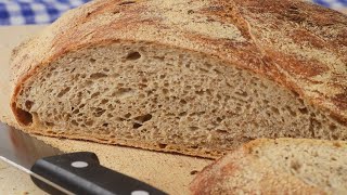 No Knead Rye Bread Recipe Demonstration  Joyofbakingcom [upl. by Nikolaos581]