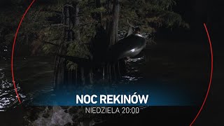 Noc rekinów  zwiastun filmu [upl. by Etsyrk935]