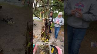 Found a bunch of musky lures today up in Minocqua WI 😳 musky lures fishing dam fyp scuba [upl. by Yralam]