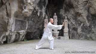 Yi Jin Jing Qigong by Master Wang Zhi Ping 1 movement [upl. by Eigla275]