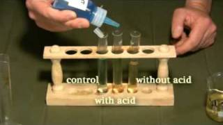 Benedict Test NonReducing Sugars [upl. by Jepson]