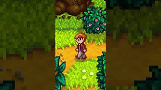 Creepy │ Stardew Valley [upl. by Mohandas385]