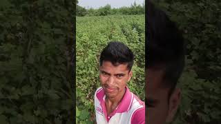 pathi thisthunnam frinds music farming lifeanteittavundaala agriculture [upl. by Aihsital]