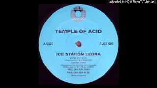 Temple Of Acid  Ice Station Zebra Acid Techno 1994 [upl. by Kimura]