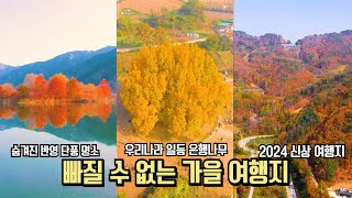 10월 단풍 은행 추천 국내 여행 빠질 수 없는 가을 여행 추천 BEST 국내여행 여행추천 [upl. by Wildon]