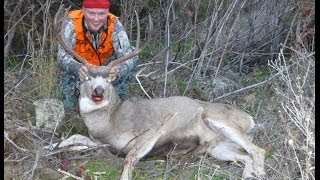 Long Range Mule Deer Buck Hunt  670 Yards  270 WSM [upl. by Aredna]