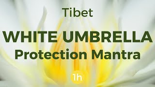 Protection Mantra  Tibetan White Umbrella 1h [upl. by Elimaj813]