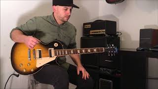 Friedman Runt 20  Slash Tone  Estranged cover [upl. by Mcconaghy]