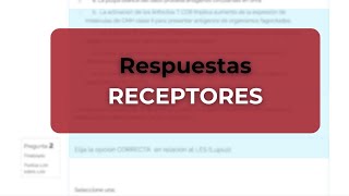 Todo Sobre Receptores Mecanismos y Regulación [upl. by Pega]