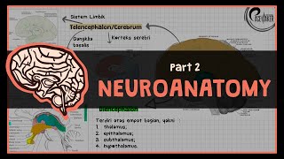 Tractus Ascendens amp Descendens  2 NEUROANATOMY [upl. by Hedgcock]