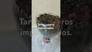 Tarros caseros para plantas improvisados [upl. by Ydda481]