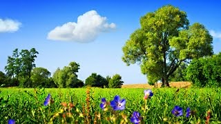 6 Hour Ambient Soundscape British Countryside In the Summertime  Relaxing Nature Sounds [upl. by Yeltneb]