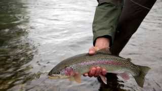 One Minute Alaska Vacation  Jan 14 Thumbs Up for Epic Fishing [upl. by Niawd940]