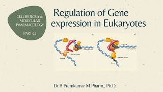 Gene regulation in Eukaryotes  CBMP  Part 14 [upl. by Ruffin]