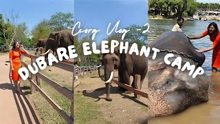 Crazy experience at Dubare Elephant Camp All you need to know  Vlog 2 dubare coorg [upl. by Pollak209]