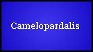 Camelopardalis Meaning [upl. by Sivet422]