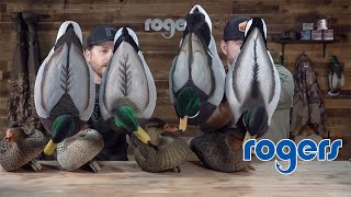 Fully Flocked Mallard Decoy Comparison [upl. by Zachar963]