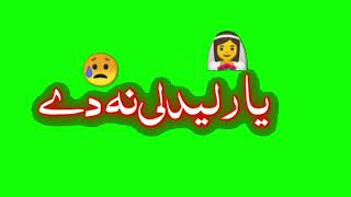 Green screen status Pashto Pashto green screen poetry green screen pashto poetry rahmanbabasadpoetry [upl. by Hebel]