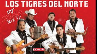 LOS TIGRES DEL NORTE MIX🎷🪗 RANCHERAS MIX 🔥 BY djoptimuseloriginal [upl. by Perren]