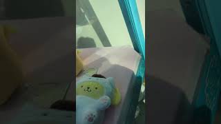 Claw machine unexpected and lucky win mymelody cutefood clawmachine [upl. by Ahsined]