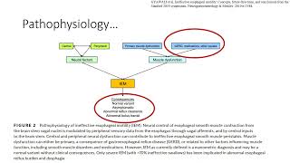 Ineffective esophageal motility IEM and its management [upl. by Ellyn]