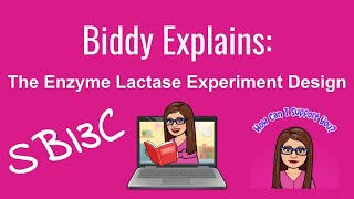 The Enzyme Lactase Experiment Design [upl. by Aroled]