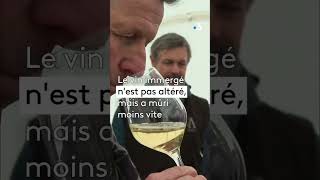 Le crémant sorti des eaux [upl. by Sonafets]