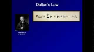 Derivation of the Alveolar Ventilation and Alveolar Gas Equations ABG Interpretaion Supp Video [upl. by Wise]