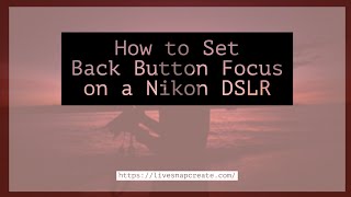 How To Set Back Button Focus On A Nikon DSLR Camera [upl. by Eselrahc]