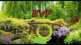 EVP  Kontakty grudzień 2017r [upl. by Hanfurd]