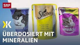 Katzenfutter im Test Jedes zweite Nassfutter ist ungesund  2017  Kassensturz  SRF [upl. by Kilbride326]